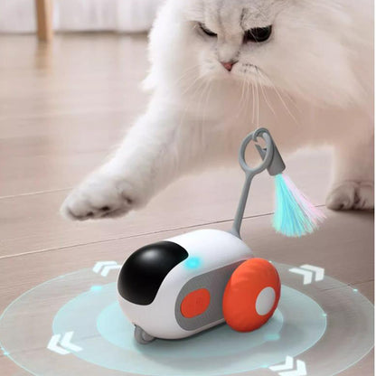 Smart Gravity Sports Car Funny Cat