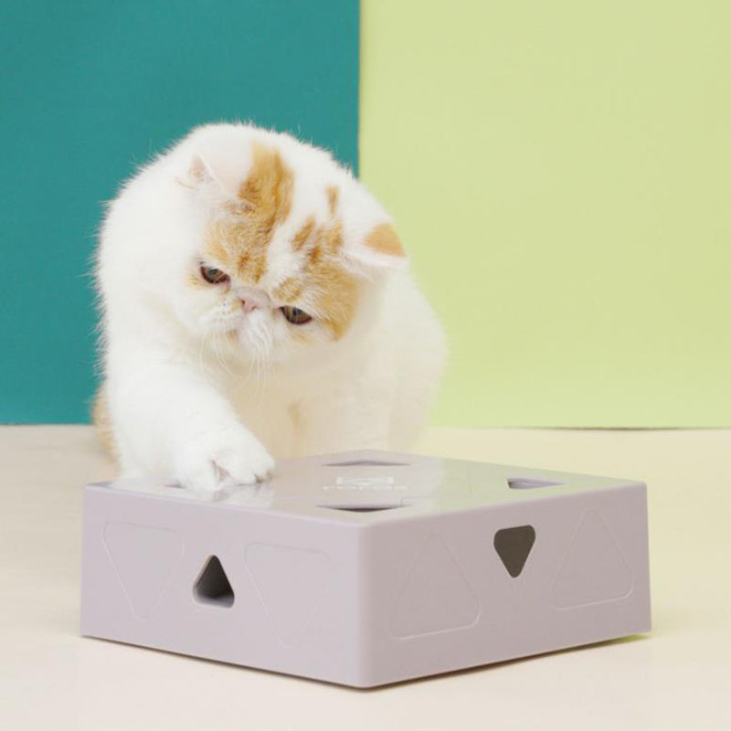 Electric Feather Cat Magic Box