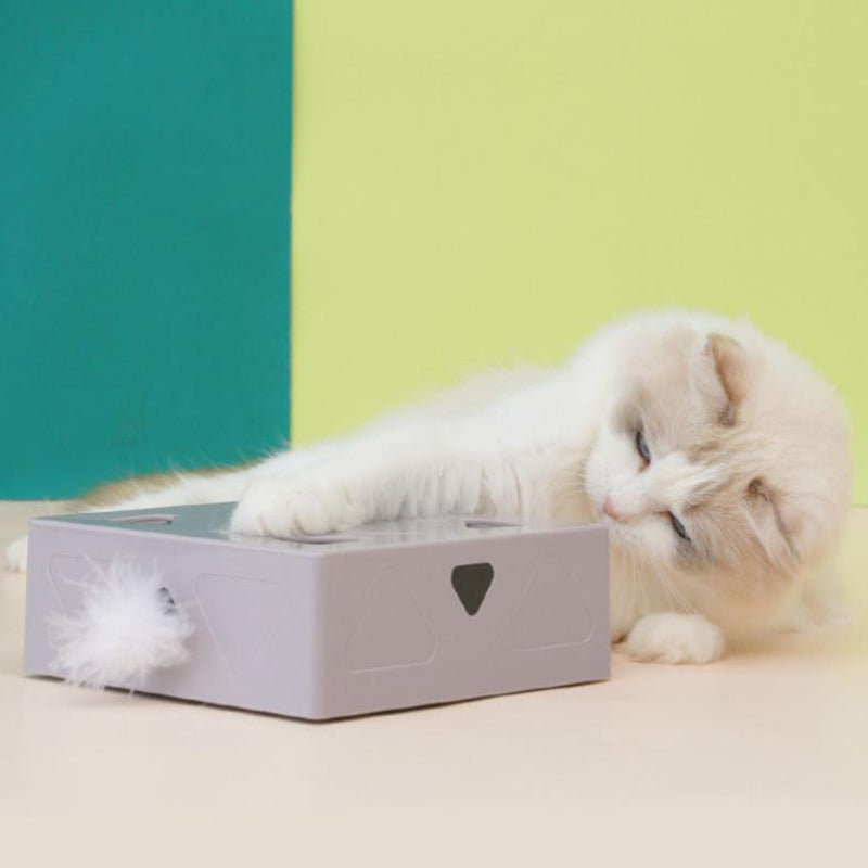 Electric Feather Cat Magic Box