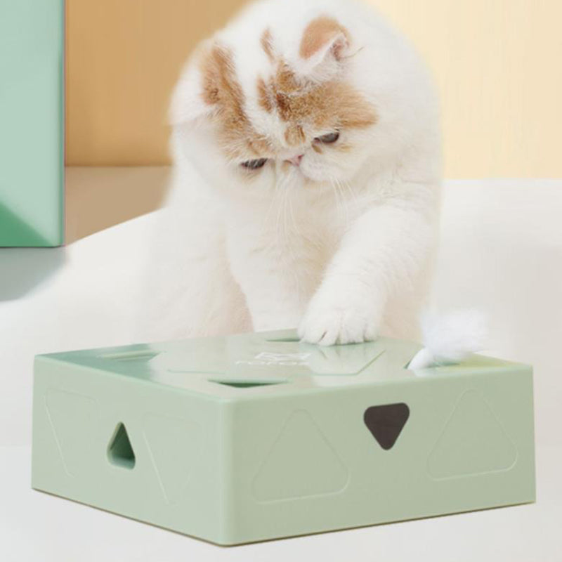 Electric Feather Cat Magic Box