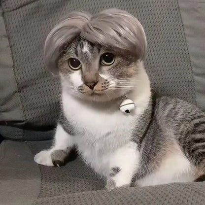 Pet Wig