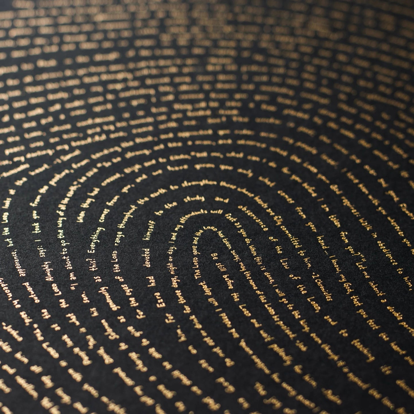 God's Fingerprint（NIV/KJV）