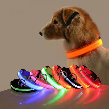 LED Light Up Collar Attachment