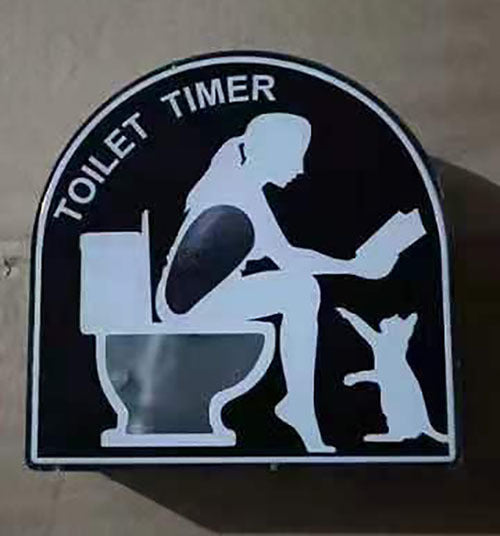 Toilet Timer