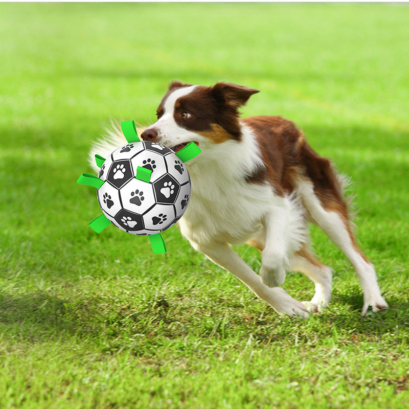 Dog Toy Football