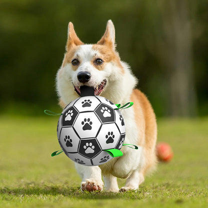 Dog Toy Football