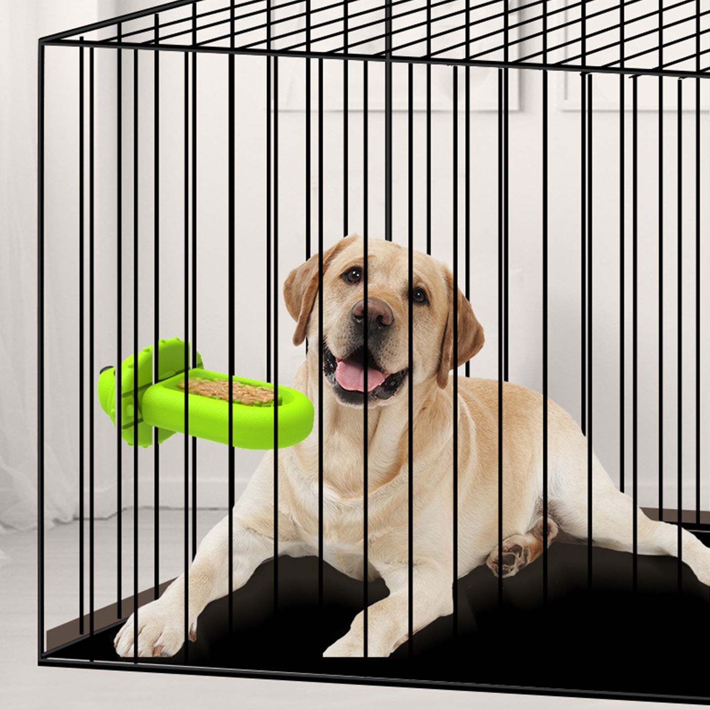 Dog Crates Training Tool