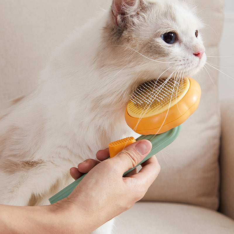 Pumpkin Pet Brush