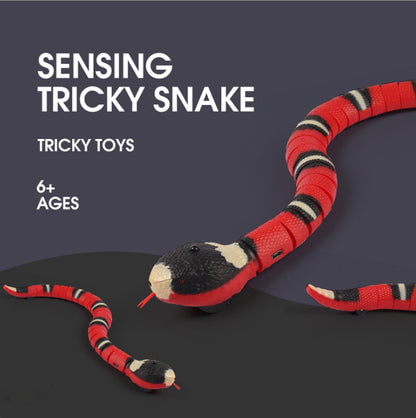 Smart Snake Toy