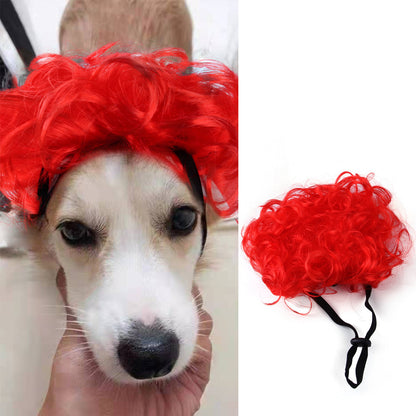 Pet Wig