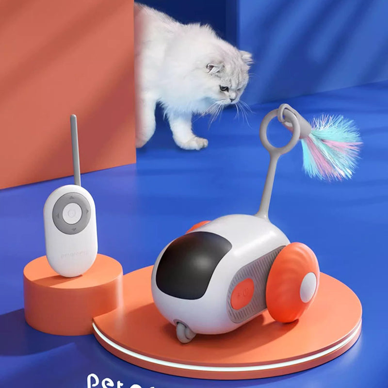 Smart Gravity Sports Car Funny Cat