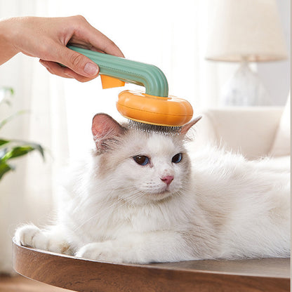 Pumpkin Pet Brush