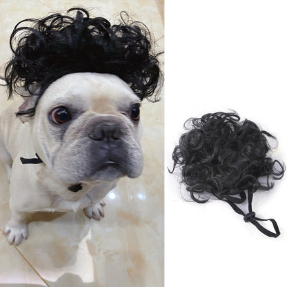 Pet Wig