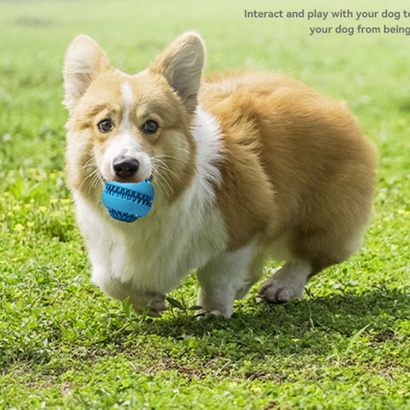 Pet Tooth Cleaning Ball