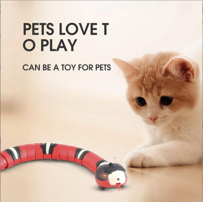 Smart Snake Toy