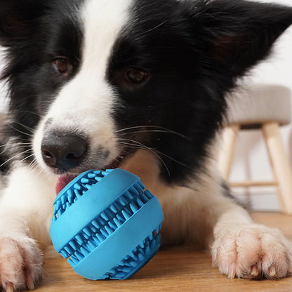 Pet Tooth Cleaning Ball