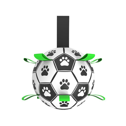 Dog Toy Football