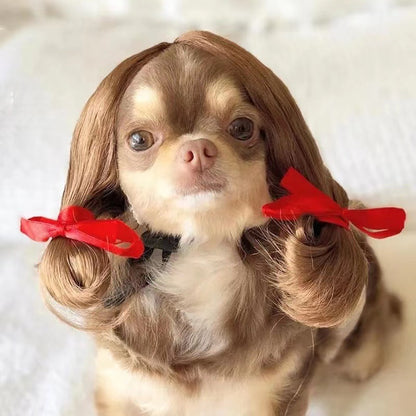 Pet Wig