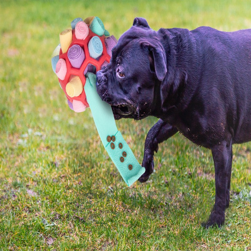 Snuffle Ball Interactive Treat Game