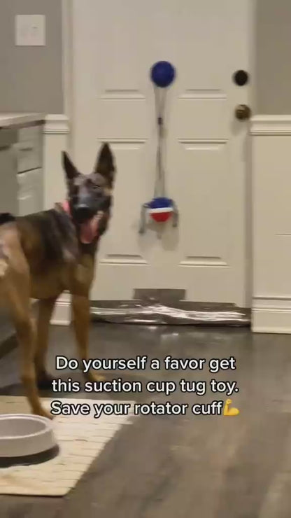 Suction Cup Tug of War Dog Toy