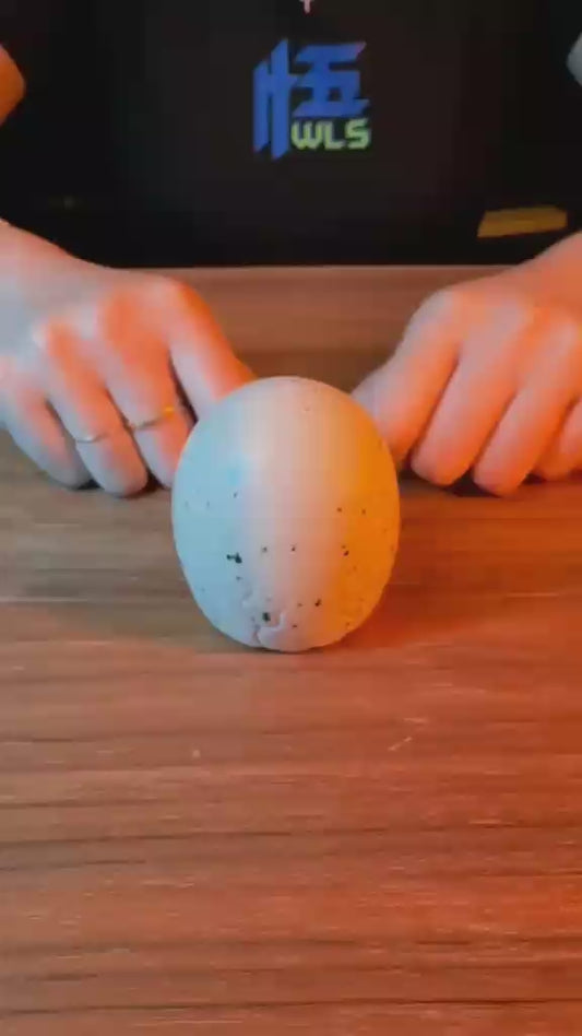 Dinosaur Egg pop