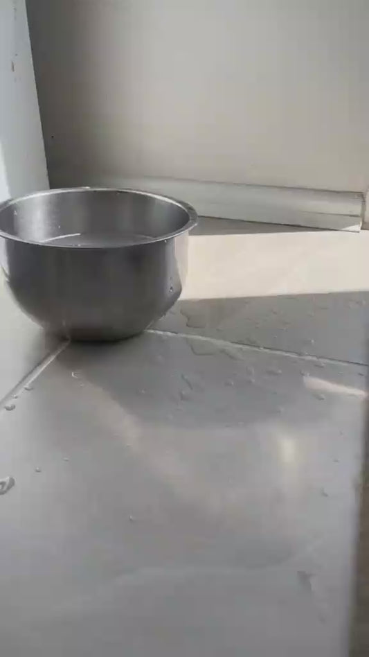 Pet Floating Water Basin