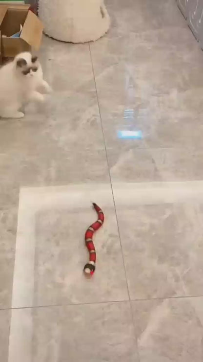 Smart Snake Toy