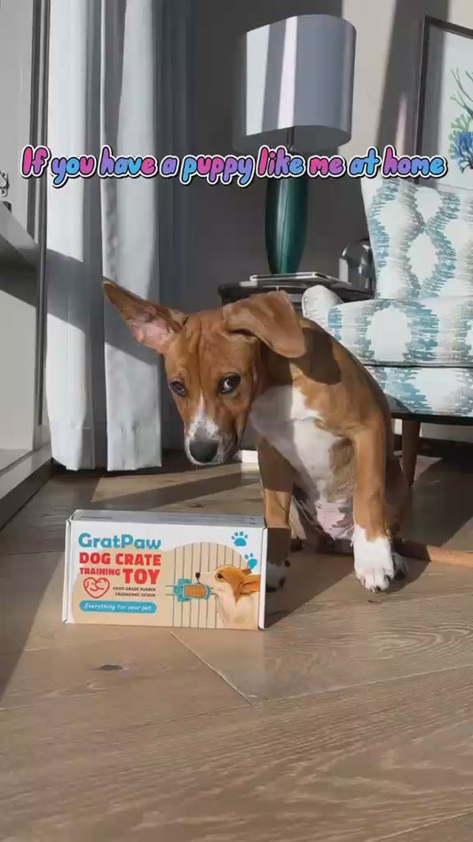 Dog Crates Training Tool