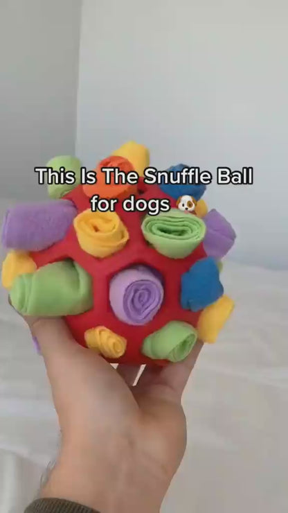 Snuffle Ball Interactive Treat Game