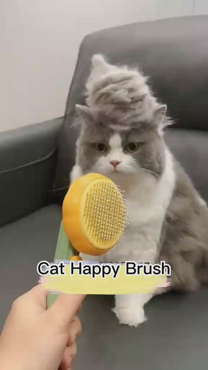 Pumpkin Pet Brush