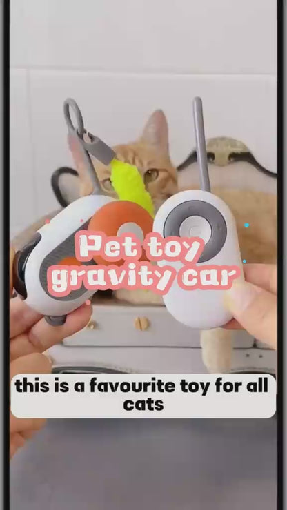 Smart Gravity Sports Car Funny Cat