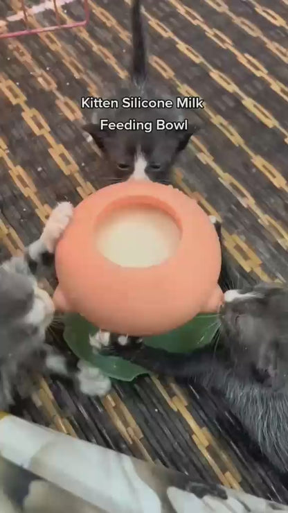 Kitten's Feeding Artifact