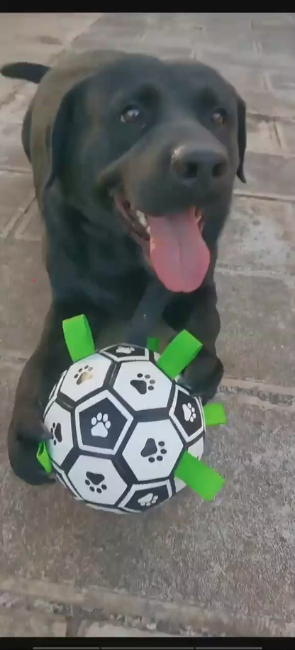 Dog Toy Football