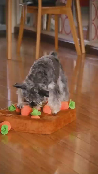 Dog Pulling Carrots