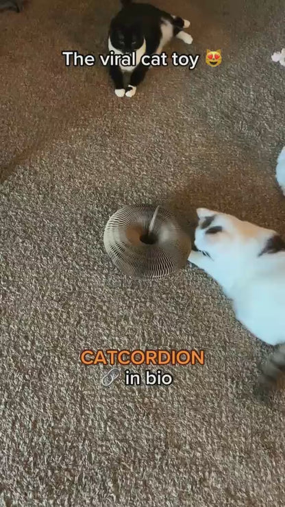 The Catcordion