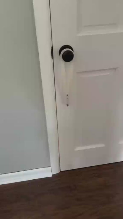 Cat Door Holder Latch