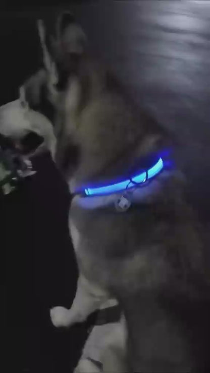 LED Light Up Collar Attachment