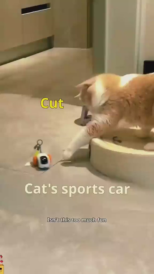 Smart Gravity Sports Car Funny Cat