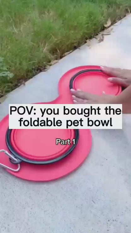 Foldable Food Water Double Bowl