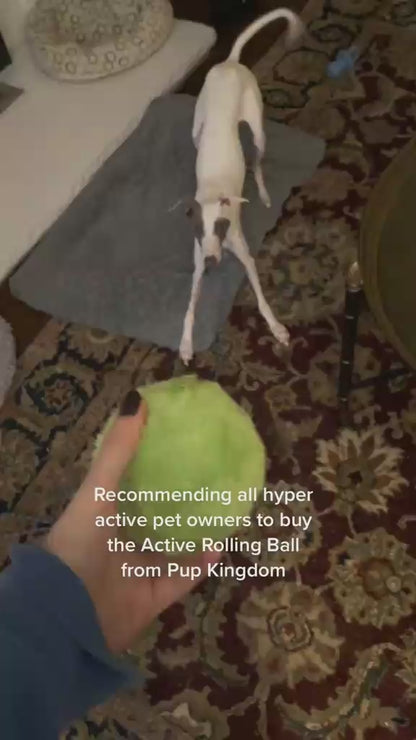 Active Rolling Ball