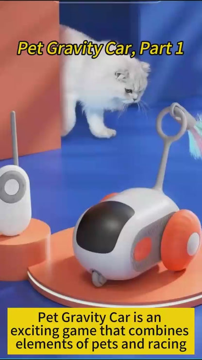 Smart Gravity Sports Car Funny Cat