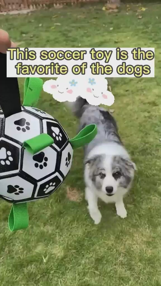 Dog Toy Football