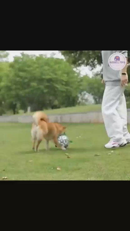 Dog Toy Football