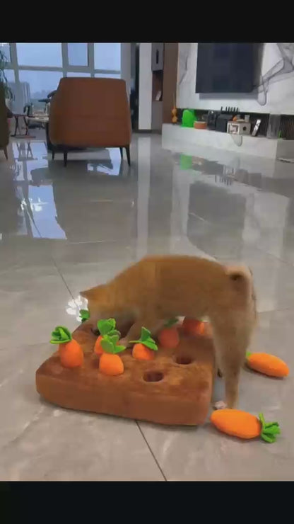 Dog Pulling Carrots