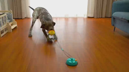 Suction Cup Tug of War Dog Toy