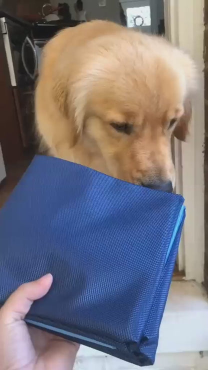 Pet Spray Mat